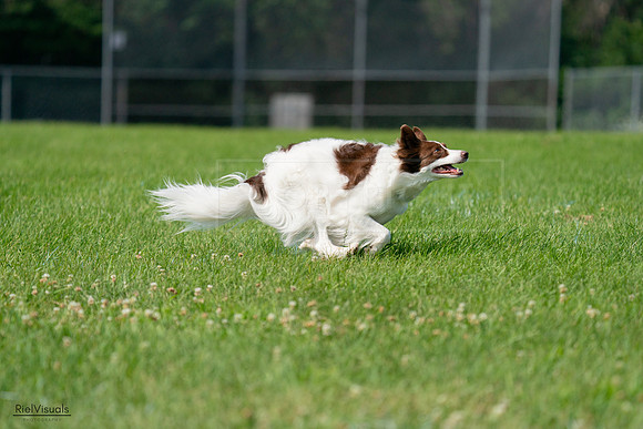 RielVisuals_20240728_102110_SJR07874