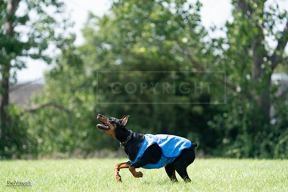 RielVisuals_20240728_145851_SJR09768