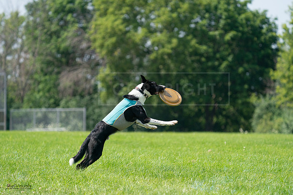 RielVisuals_20240728_115802_SJR02571