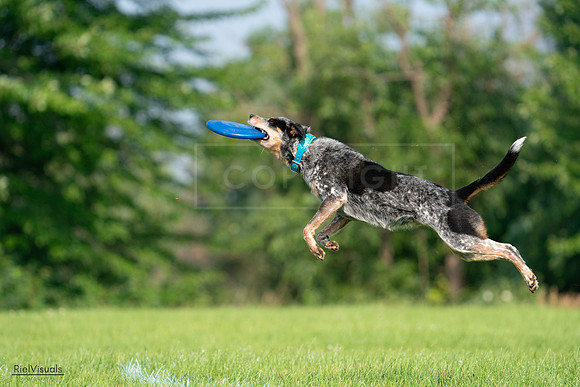 RielVisuals_20240727_094814_SJR07569