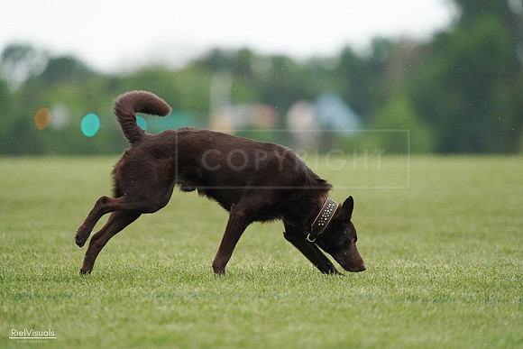 RielVisuals_20240526_090920_SJR09222