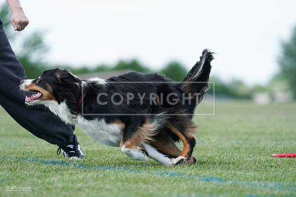 RielVisuals_20240525_122933_SJR00059