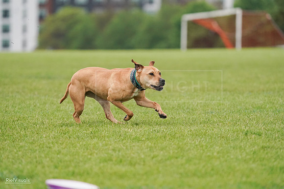 RielVisuals_20240527_111110_SJR03298