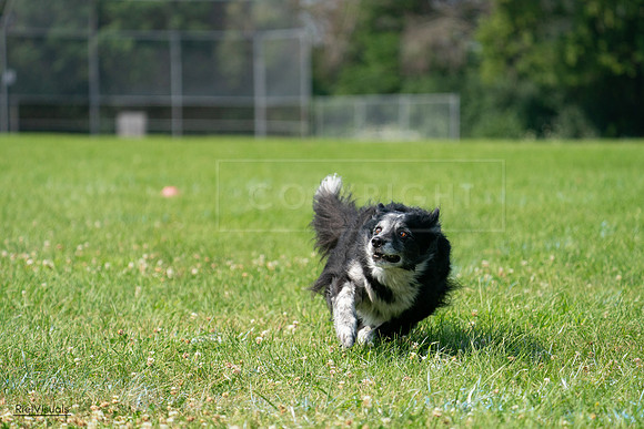 RielVisuals_20240728_103040_SJR08333