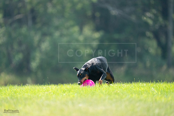 RielVisuals_20240727_121325_SJR05027