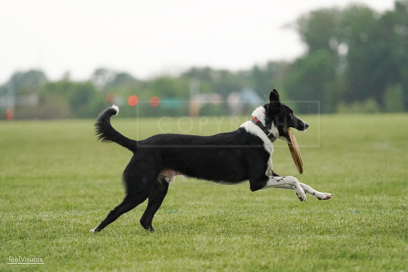 RielVisuals_20240526_093345_SJR00350