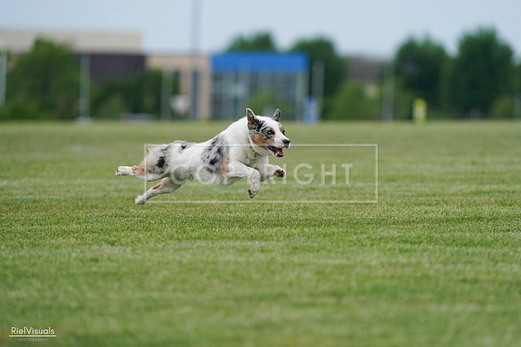 RielVisuals_20240525_165224_SJR05617