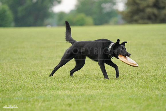 RielVisuals_20240527_110348_SJR02765