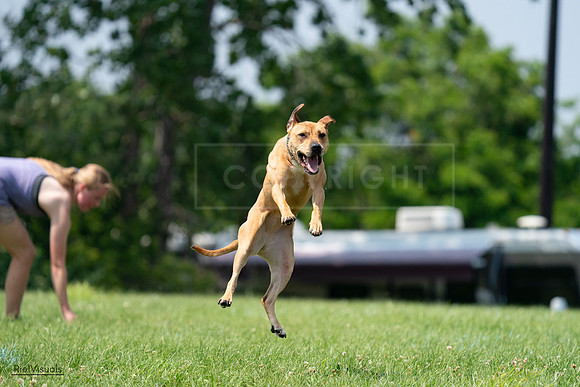 RielVisuals_20240727_141107_SJR09777