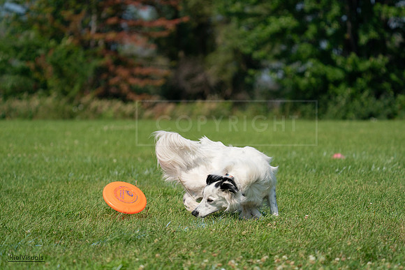 RielVisuals_20240728_102835_SJR08188