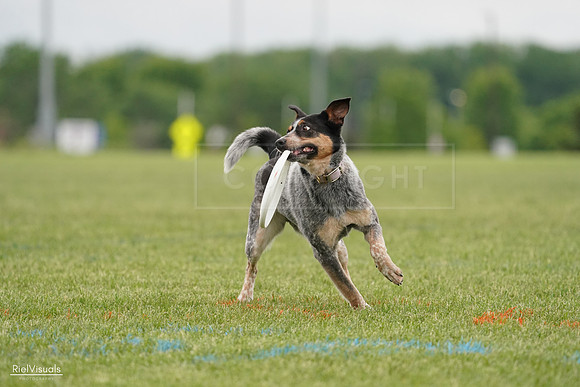 RielVisuals_20240526_133637_SJR08339