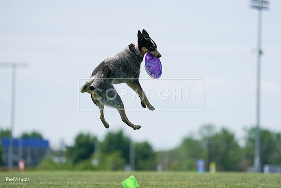 RielVisuals_20240525_122231_SJR09618