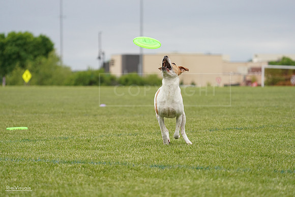 RielVisuals_20240526_134103_SJR08682