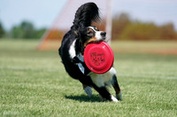 Freestyle Performance Round (Main Field)