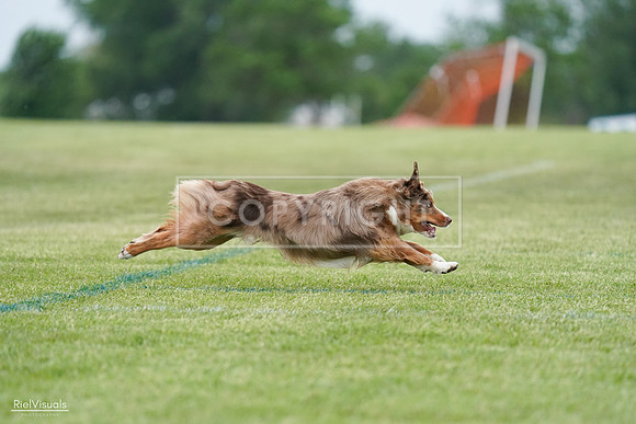 RielVisuals_20240525_163500_SJR04896