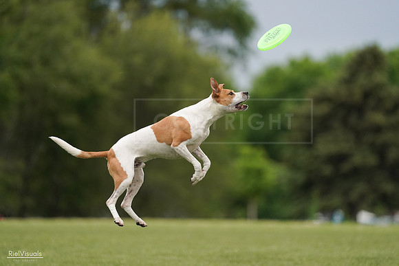RielVisuals_20240526_134007_SJR08526