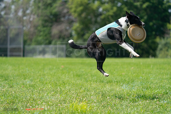 RielVisuals_20240728_115738_SJR02524