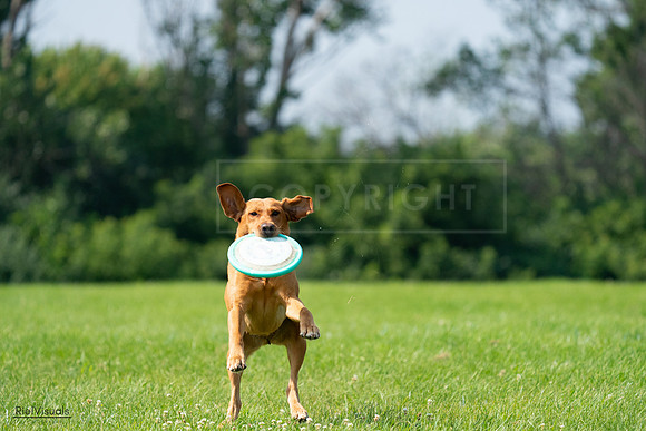 RielVisuals_20240728_104001_SJR08818