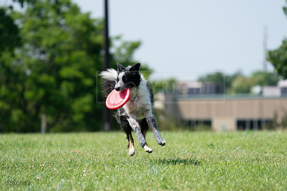 RielVisuals_20240728_145627_SJR09627