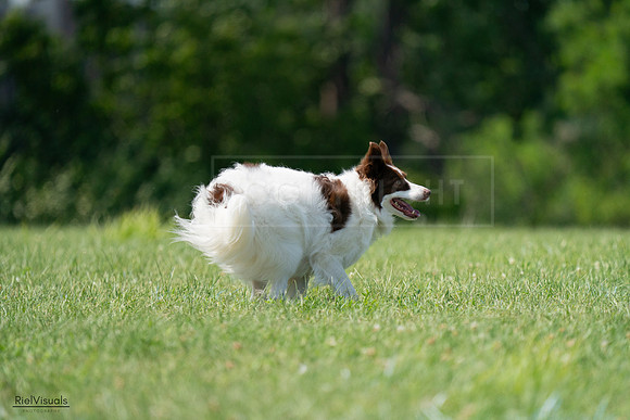 RielVisuals_20240728_145351_SJR09483