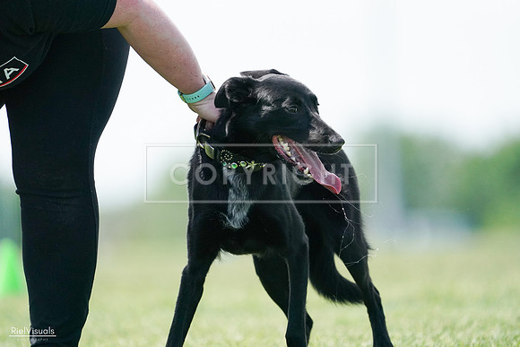 RielVisuals_20240525_122627_SJR09914