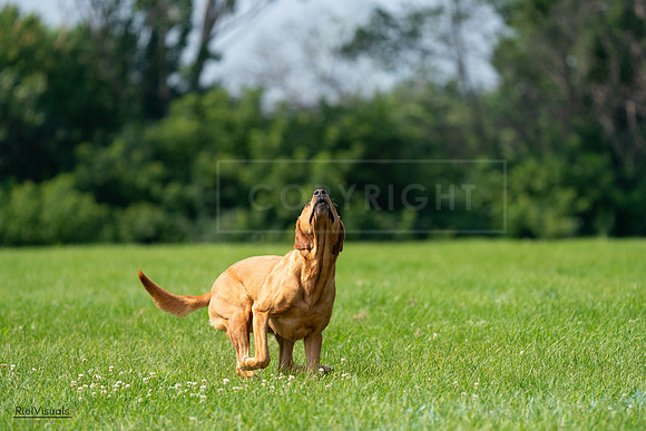 RielVisuals_20240728_104009_SJR08822