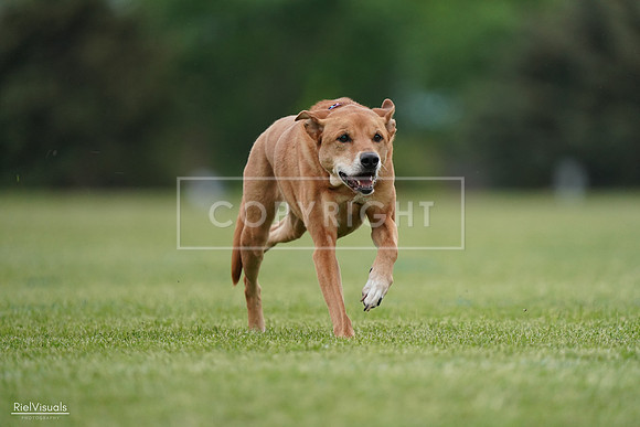 RielVisuals_20240525_161931_SJR04122