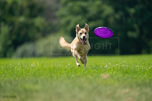 RielVisuals_20240727_120045_SJR04505