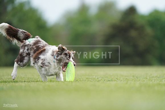 RielVisuals_20240525_161121_SJR03762