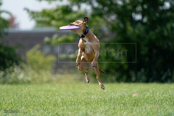 RielVisuals_20240728_150740_SJR00149