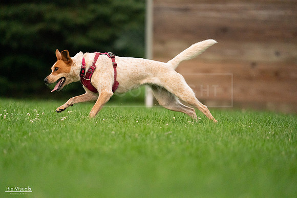 RielVisuals_20240722_201409_SJR03264