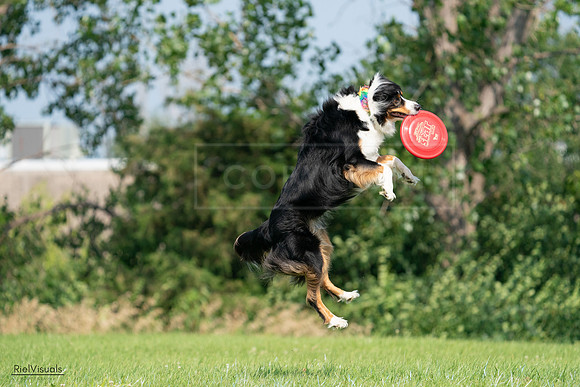 RielVisuals_20240728_101742_SJR07653
