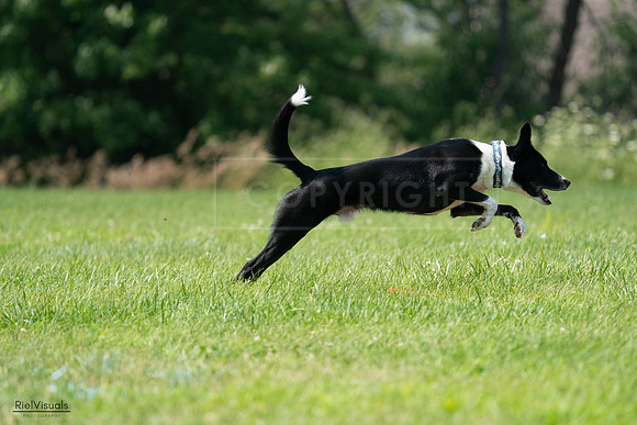 RielVisuals_20240728_133016_SJR06404