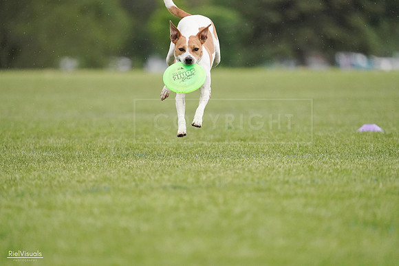 RielVisuals_20240526_092004_SJR09635