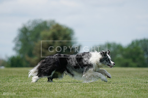 RielVisuals_20240525_123600_SJR00511
