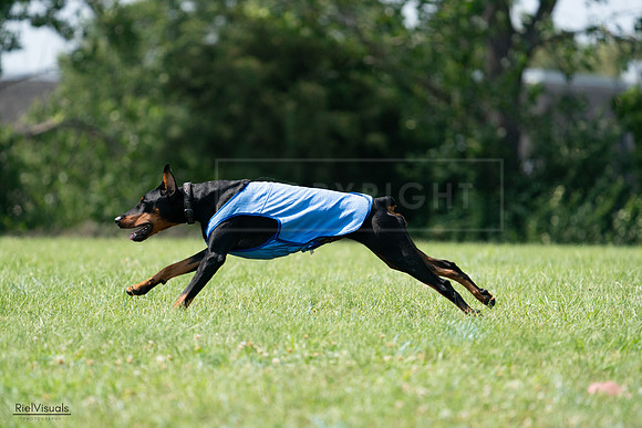 RielVisuals_20240728_145829_SJR09718