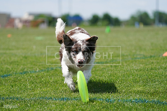 RielVisuals_20240525_120613_SJR08683