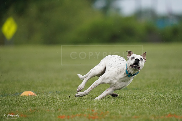 RielVisuals_20240526_090740_SJR09105