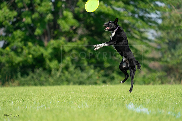 RielVisuals_20240727_094411_SJR07401