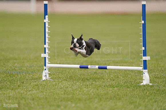 RielVisuals_20240527_142648_SJR02800