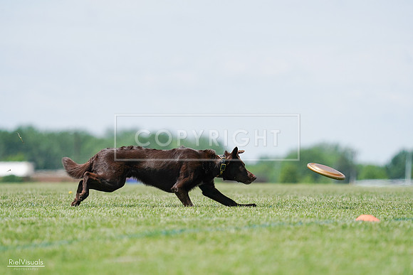 RielVisuals_20240525_120812_SJR08790