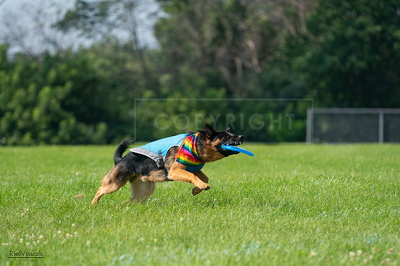 RielVisuals_20240728_104141_SJR08918