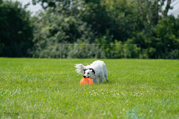 RielVisuals_20240728_121801_SJR03506