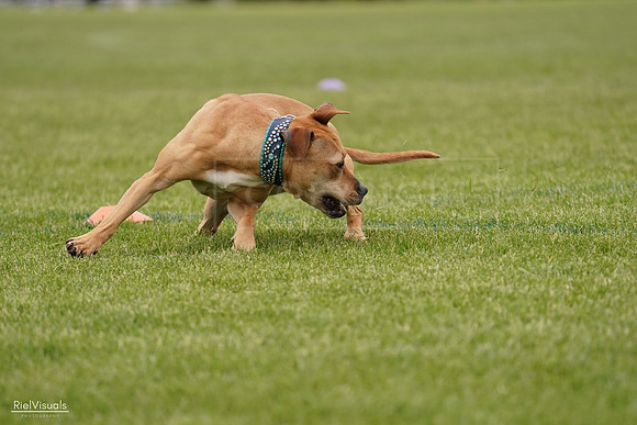 RielVisuals_20240526_135111_SJR09340