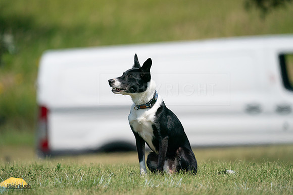 RielVisuals_20240728_115935_SJR02614
