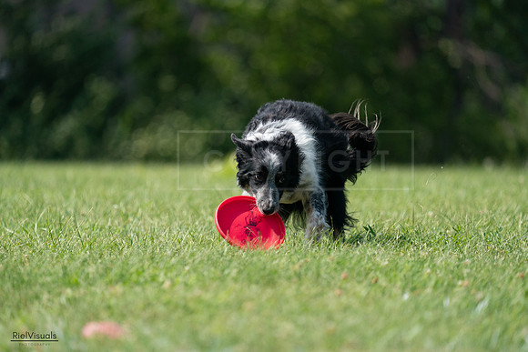 RielVisuals_20240728_145642_SJR09653