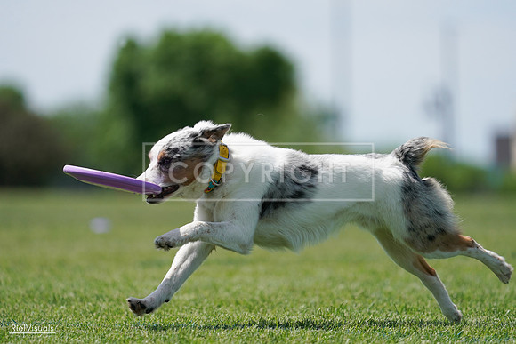 RielVisuals_20240525_121454_SJR09134