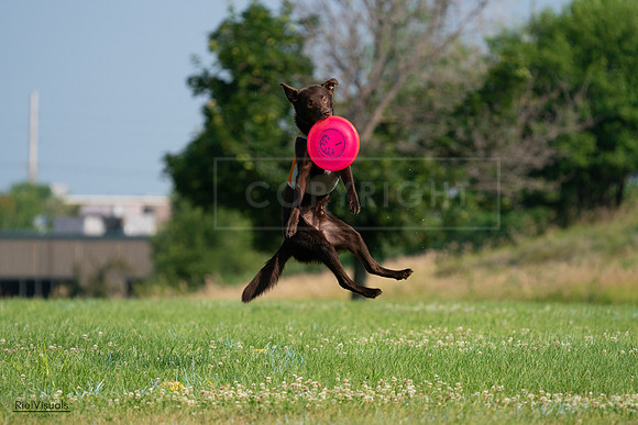 RielVisuals_20240727_092508_SJR06250