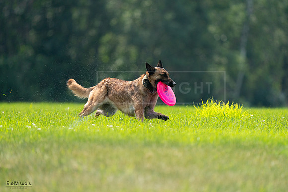 RielVisuals_20240727_123628_SJR05981