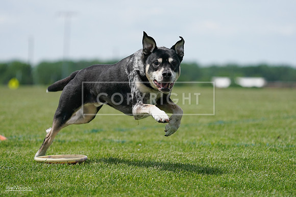 RielVisuals_20240525_123129_SJR00172